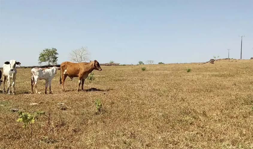 PREOCUPAÇÃO: Rondônia se prepara para enfrentar possível grande seca em 2024