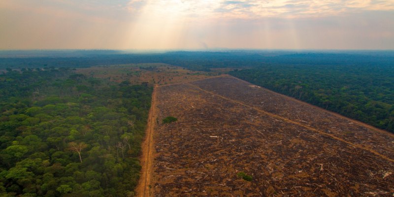 MEIO AMBIENTE: Governo Lula investe R$ 730 milhões em cidades da Amazônia para 'desmatamento zero'